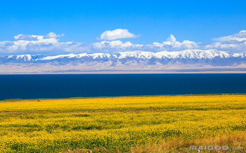 2023甘肅十大著名湖泊 甘肅著名的湖泊景點介紹