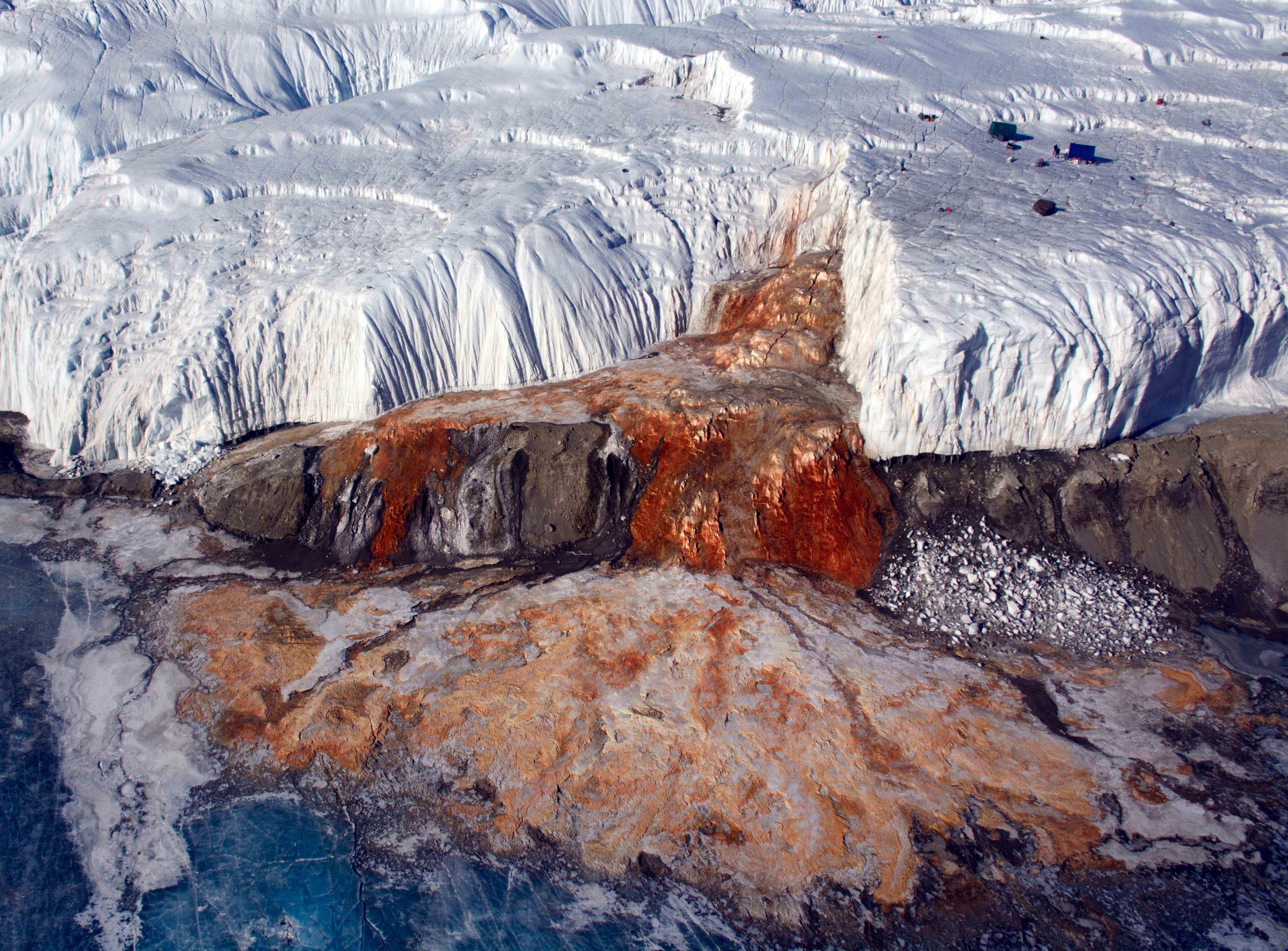 冰川之血豆瓣图片